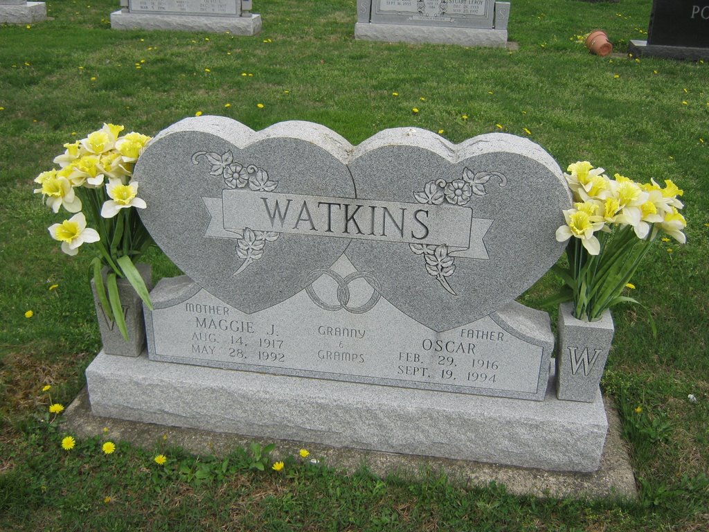 Maggie J Watkins