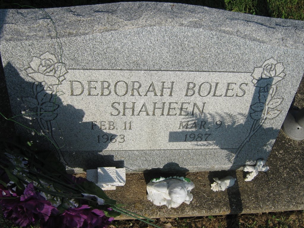 Deborah Boles Shaheen