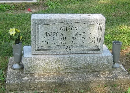 Mary E Wilson