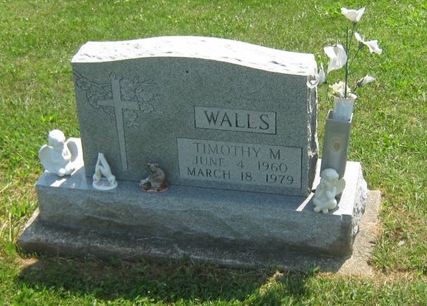 Timothy M Walls