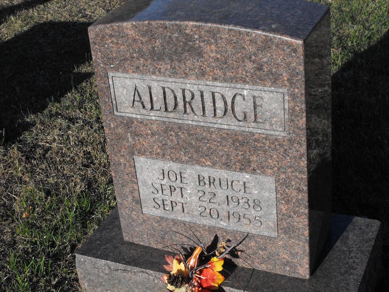 Joe Bruce Aldridge
