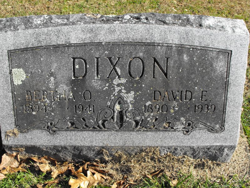 David E Dixon