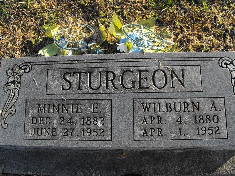 Minnie E Sturgeon