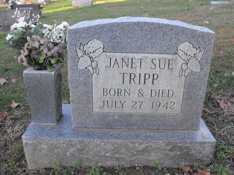 Janet Sue Tripp