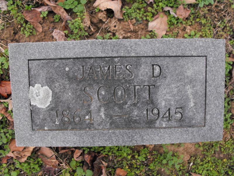 James D Scott