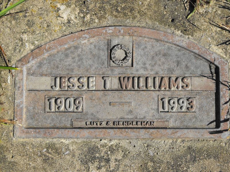 Jesse T Williams
