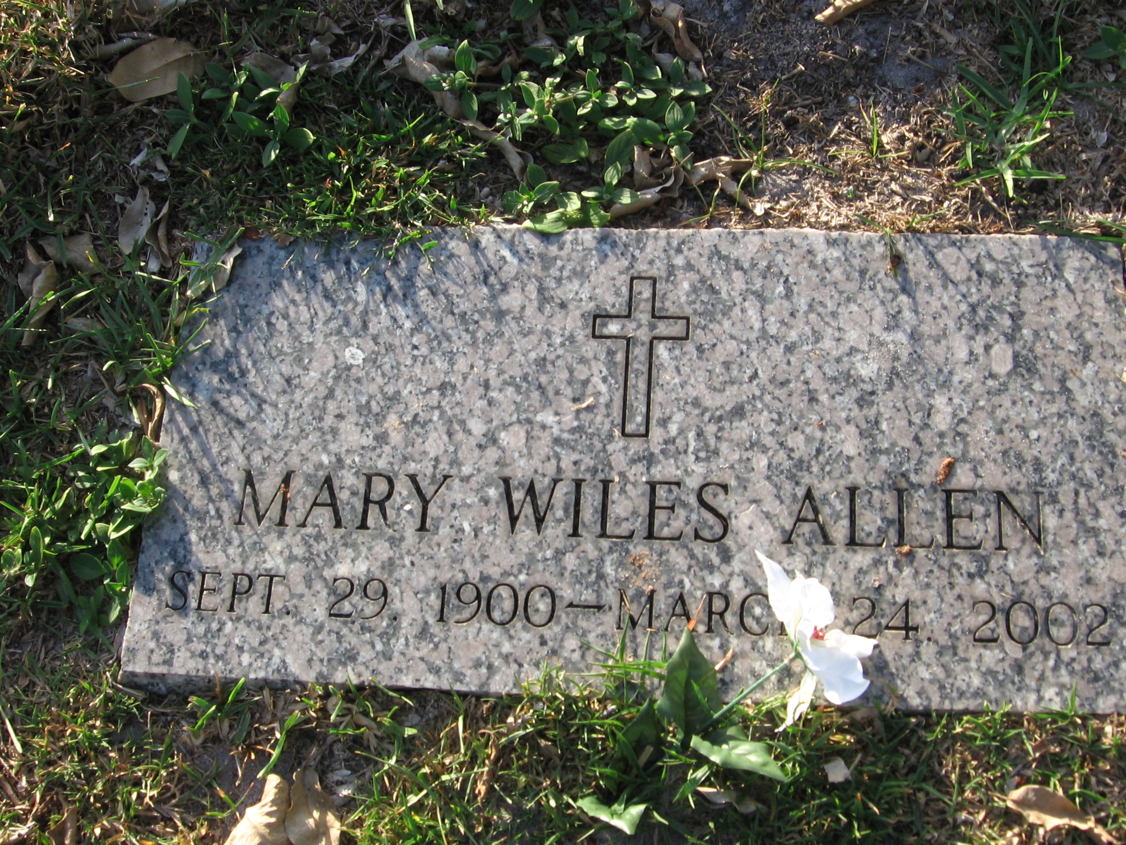 Mary Wiles Allen