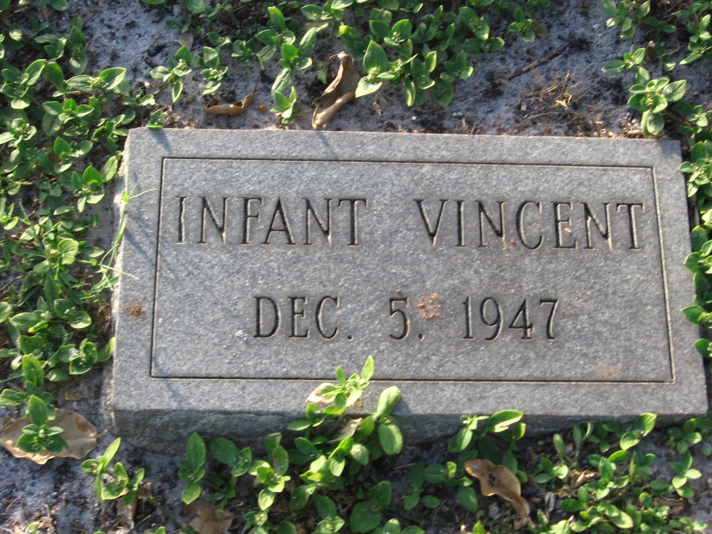 Infant Vincent