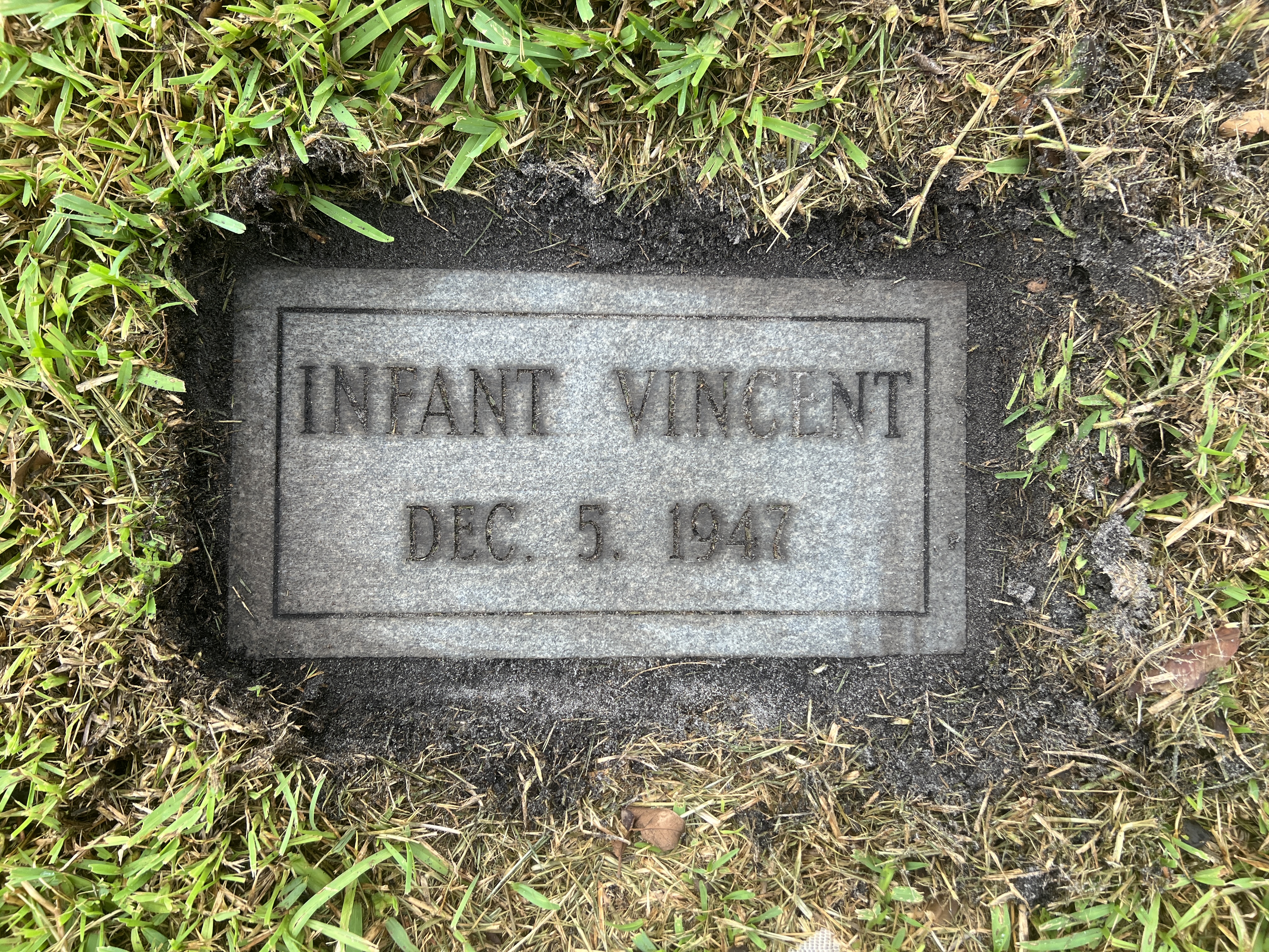 Infant Vincent