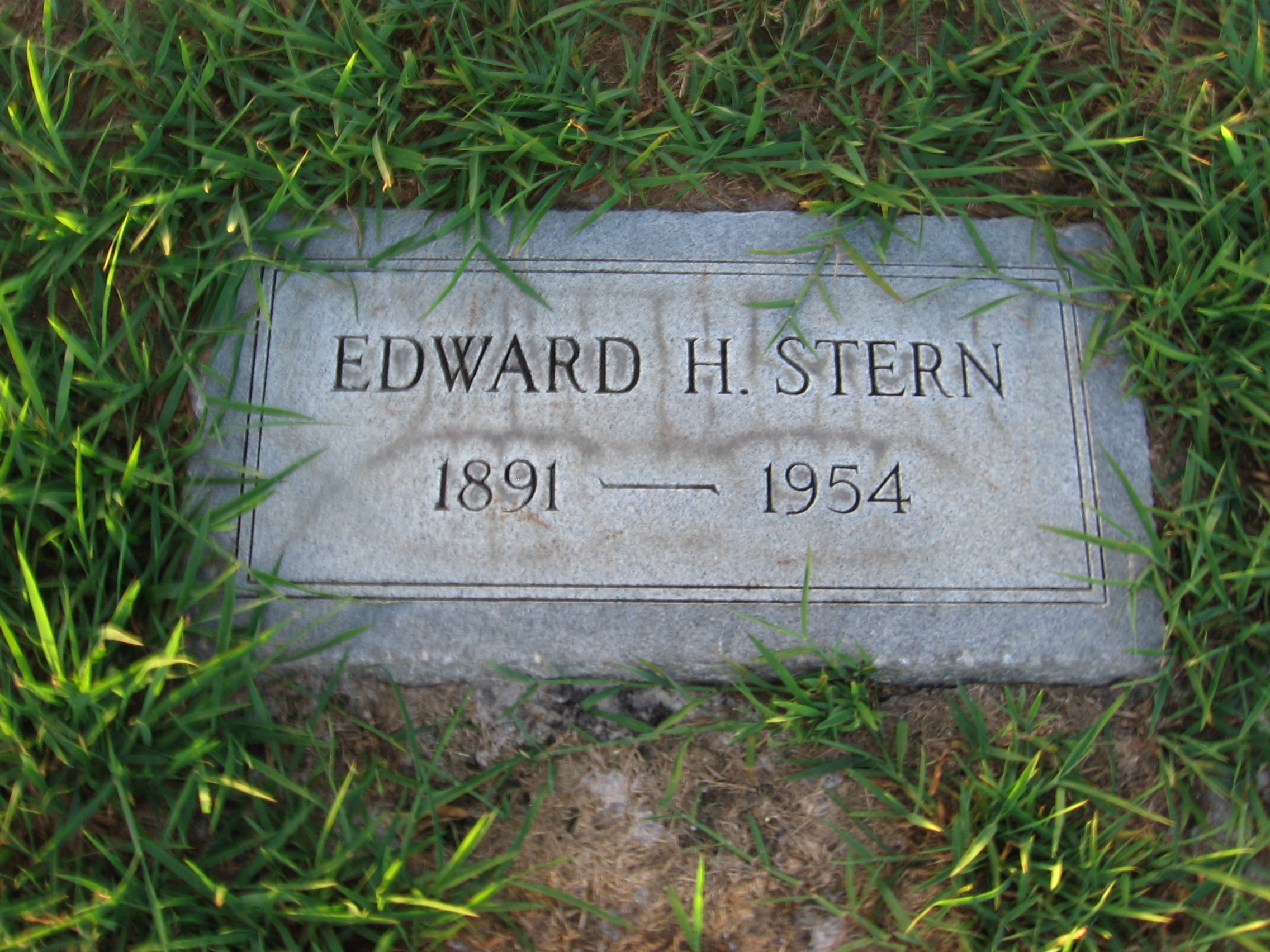 Edward H Stern