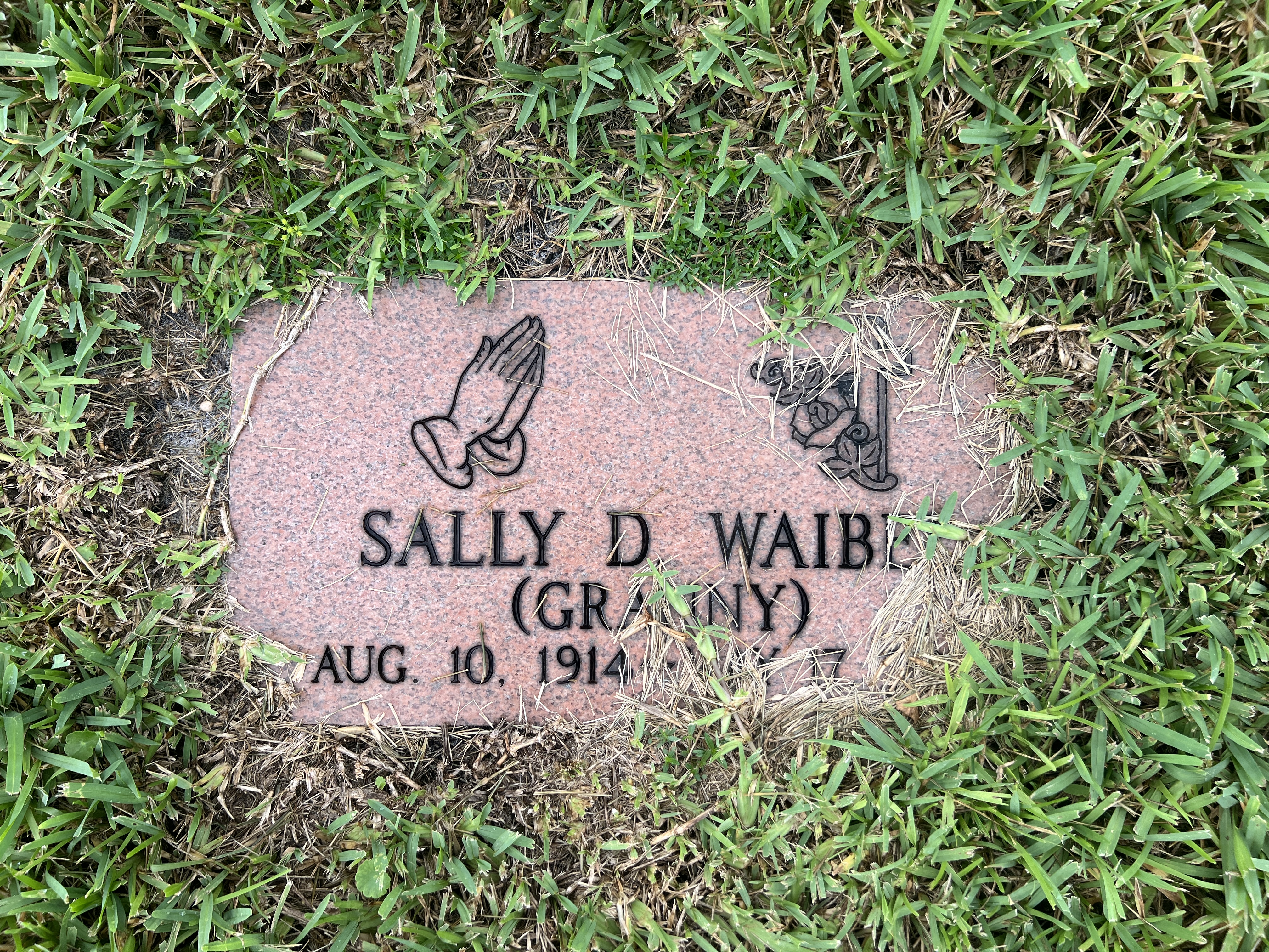 Sally D Waibel