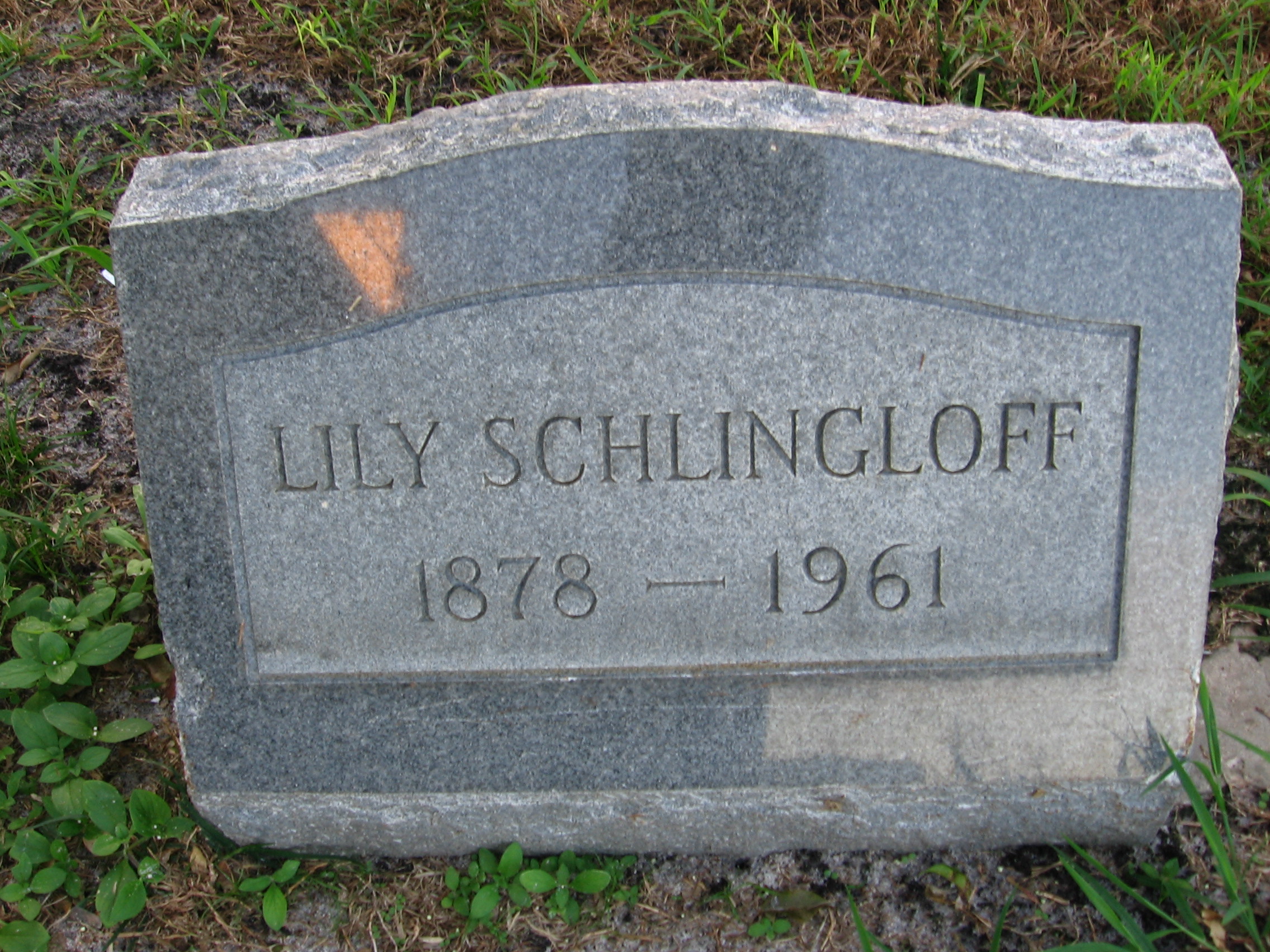 Lily Schlingloff