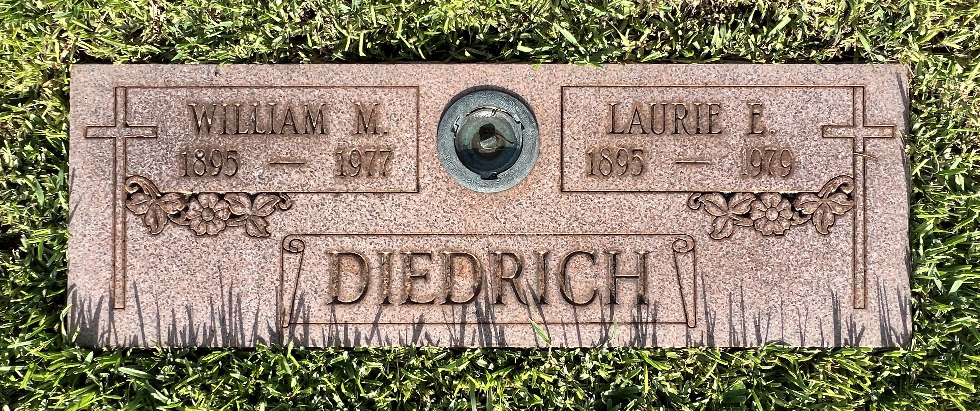 Laurie E Diedrich