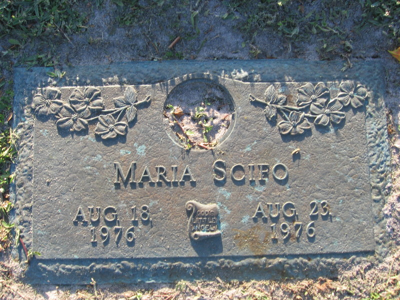 Maria Scifo