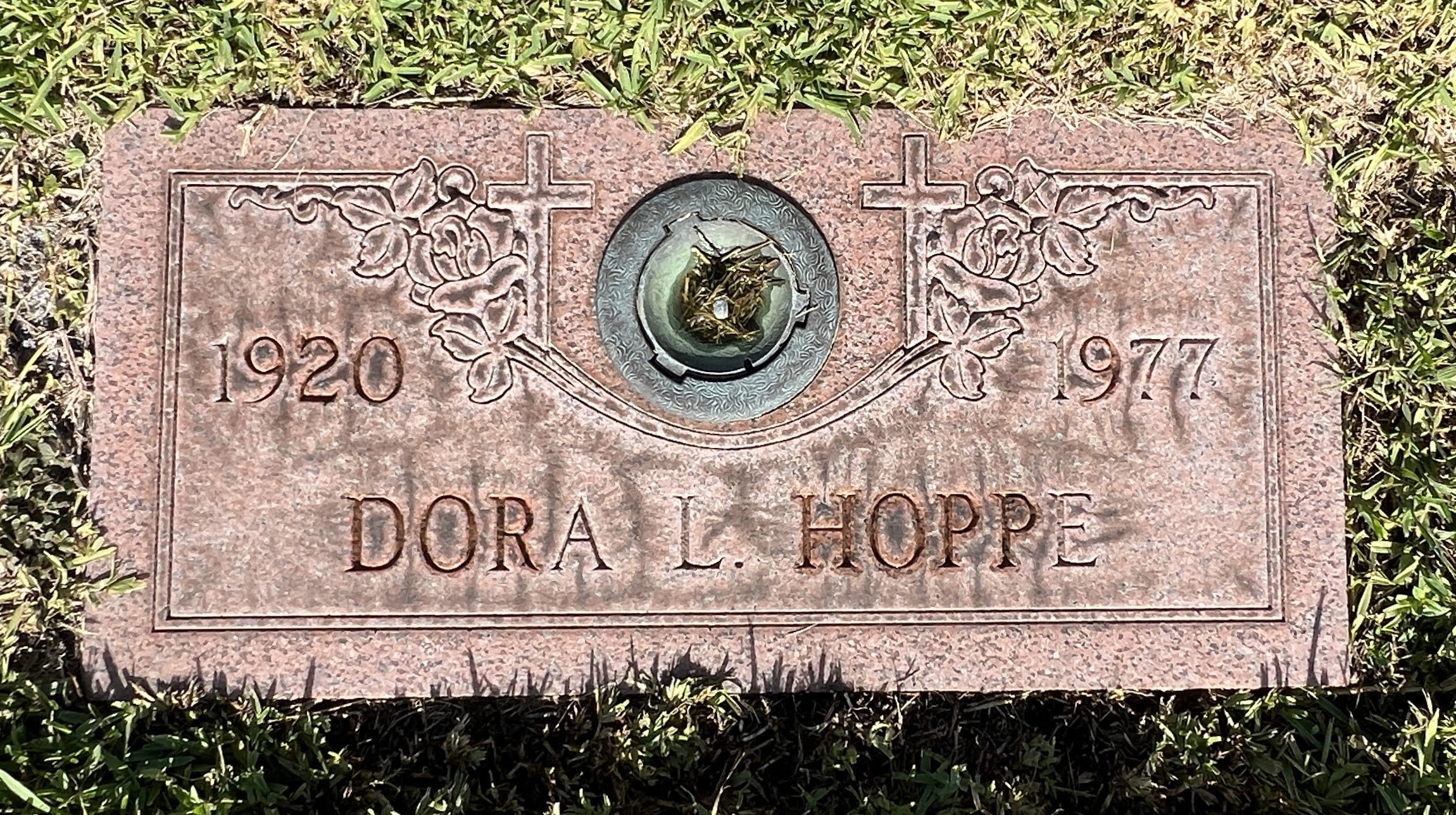 Dora L Hoppe