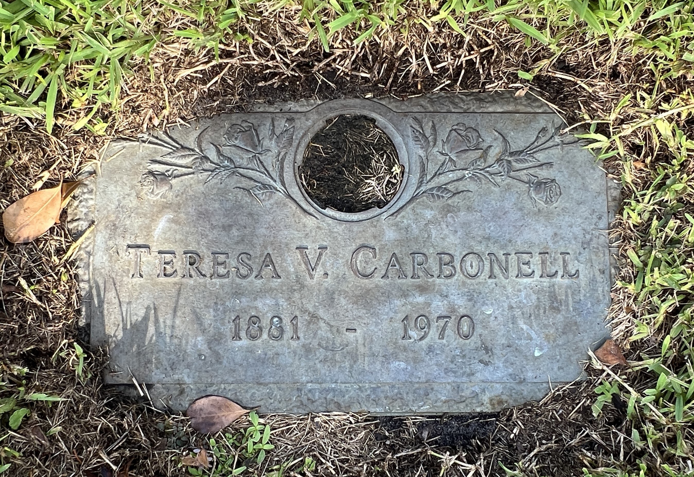 Teresa V Carbonell