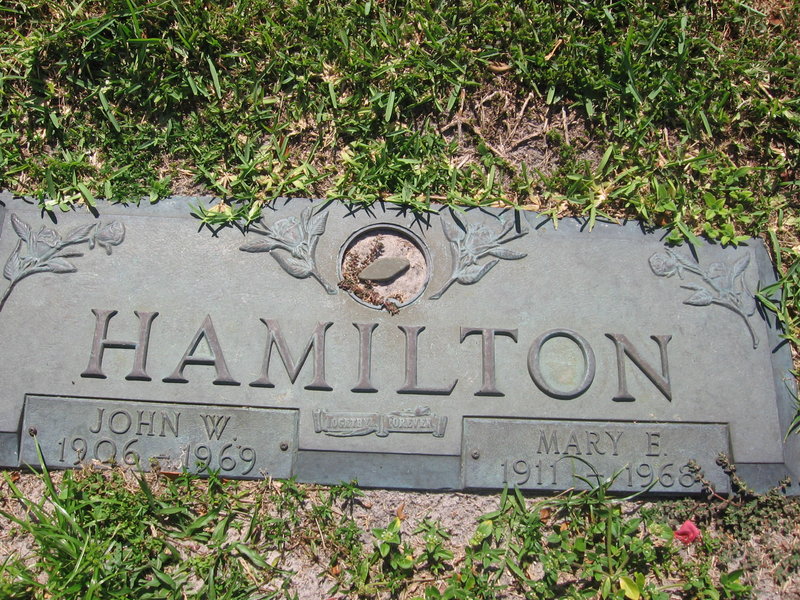 John W Hamilton