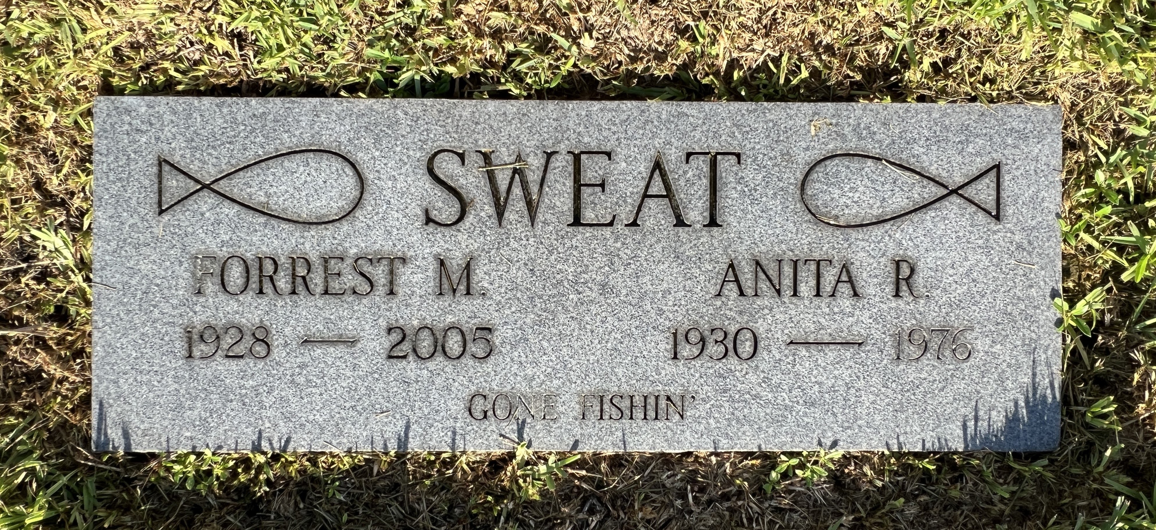Anita R Sweat