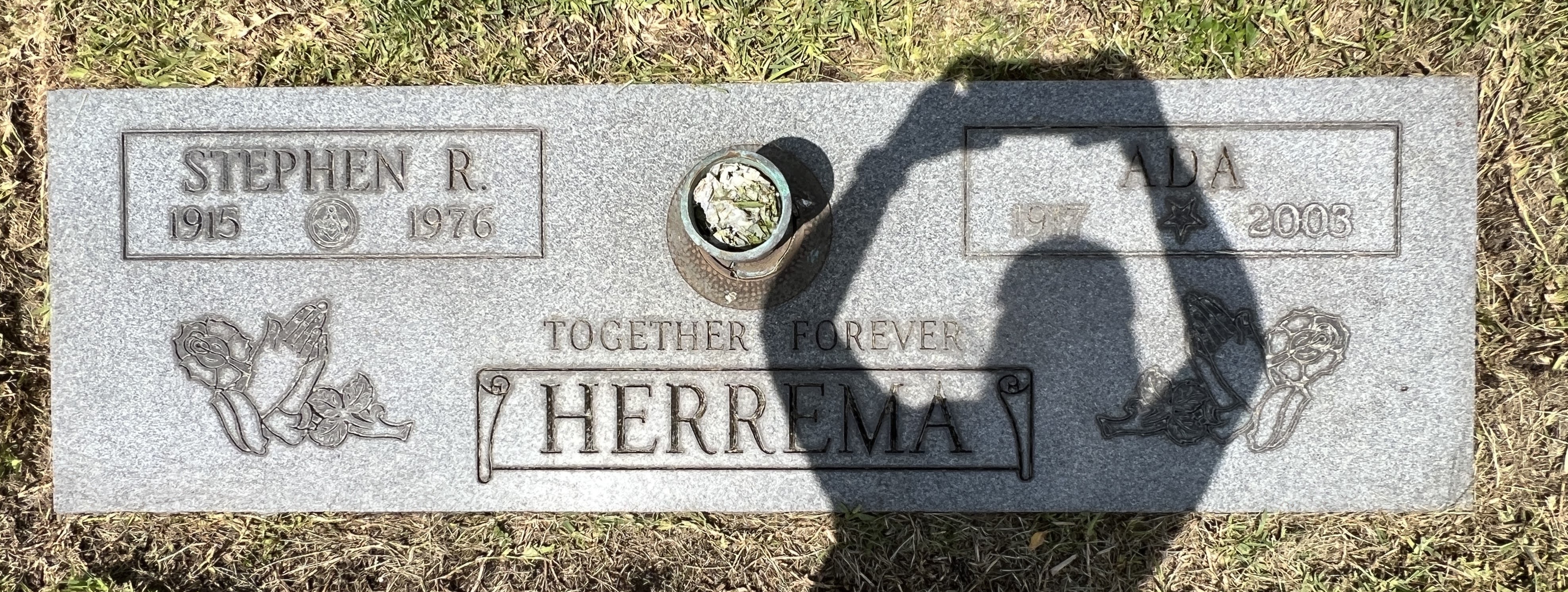 Stephen R Herrema