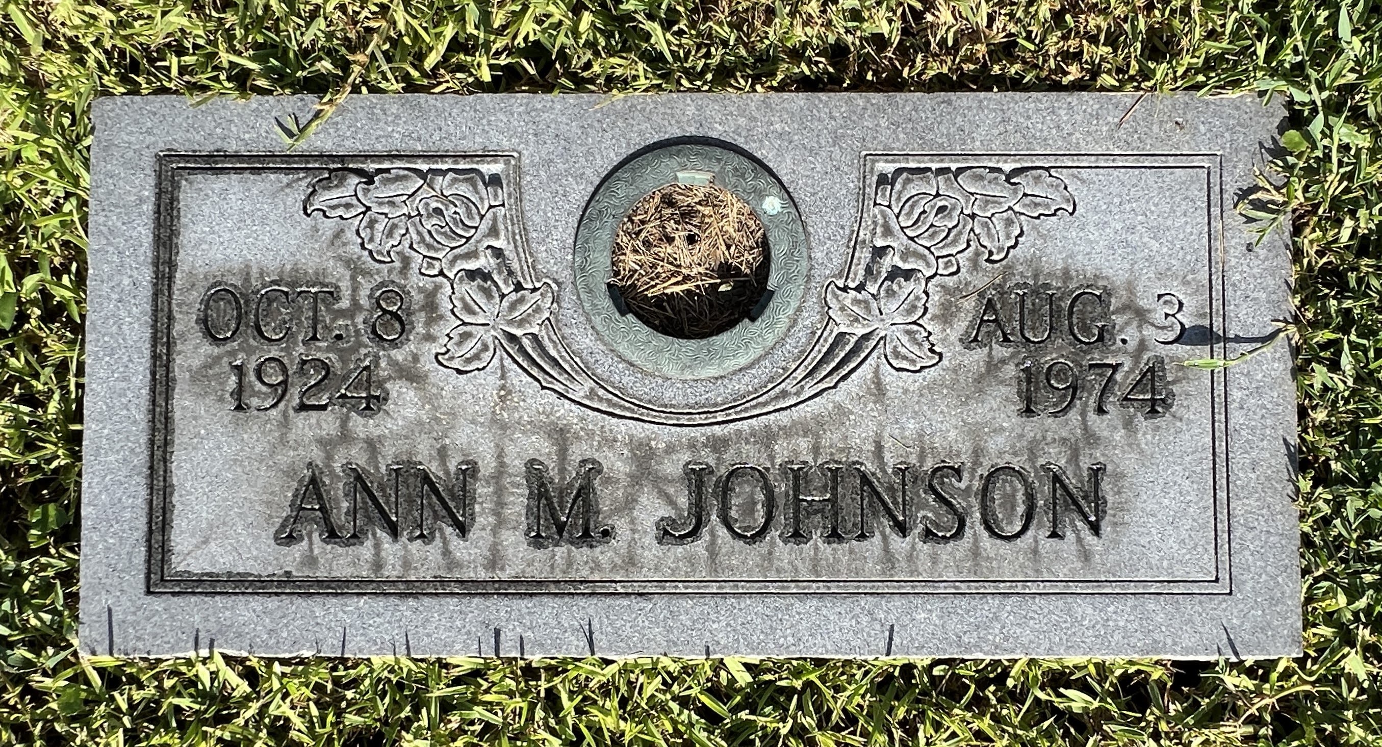 Ann M Johnson
