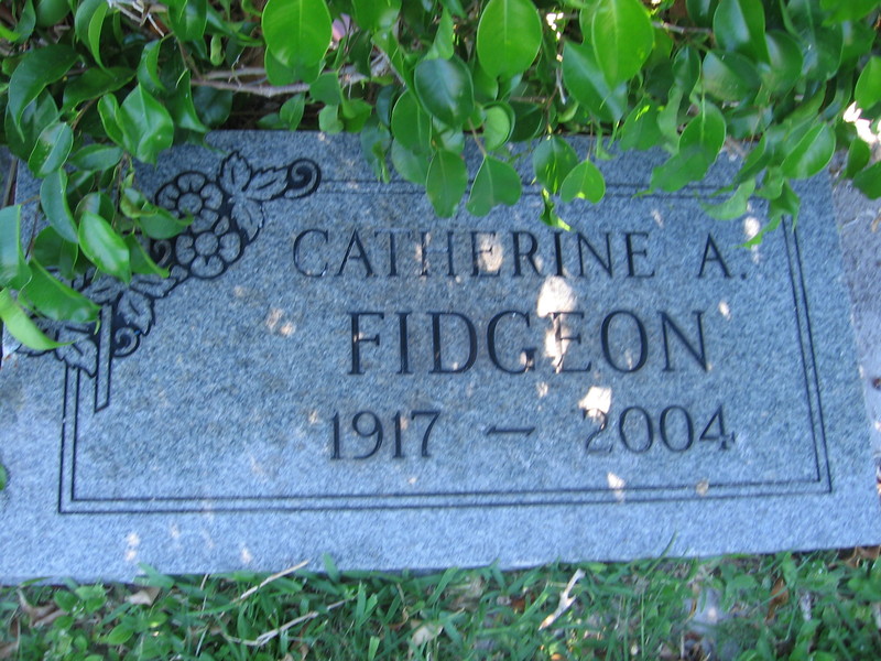 Catherine A Fidgeon
