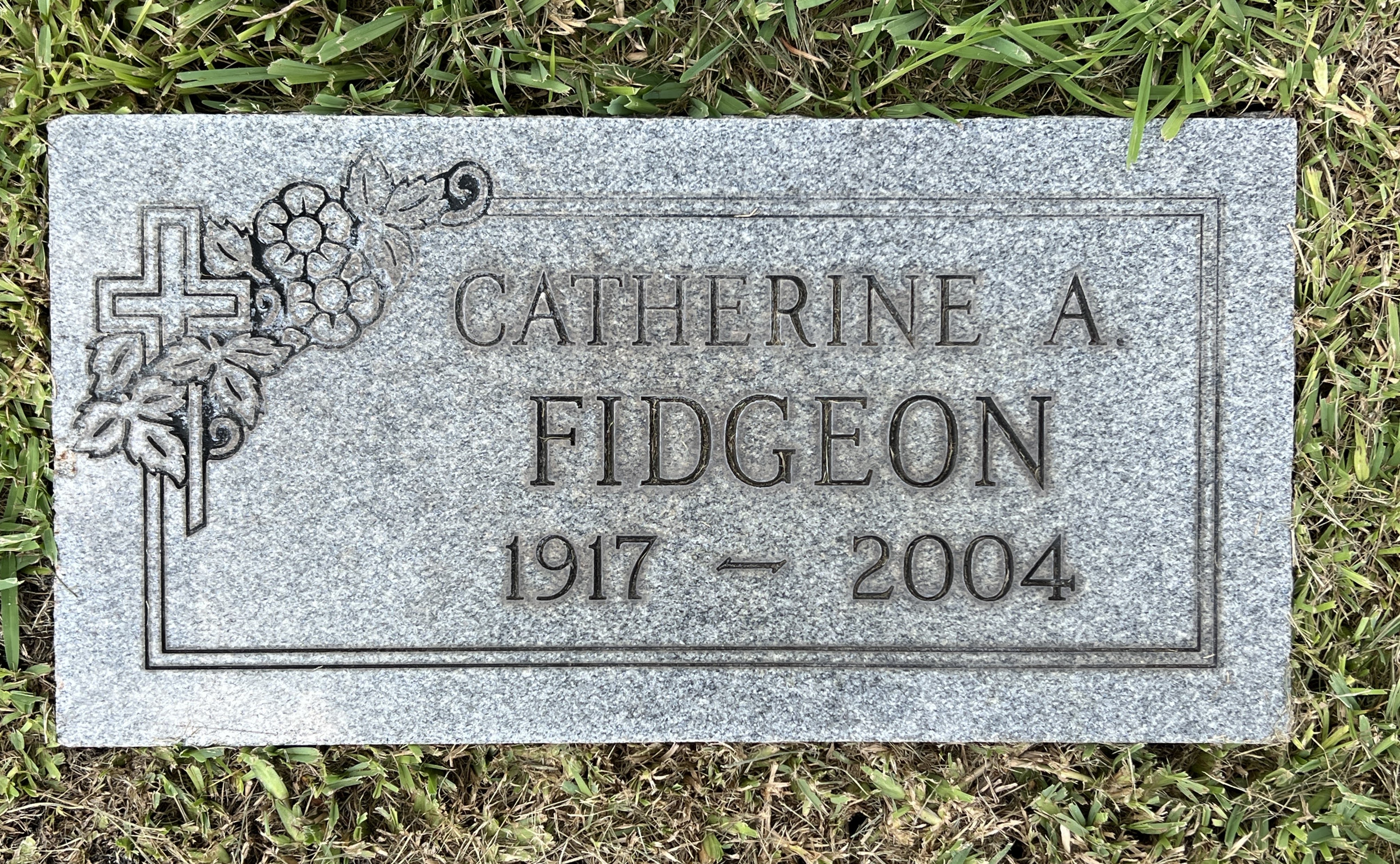 Catherine A Fidgeon