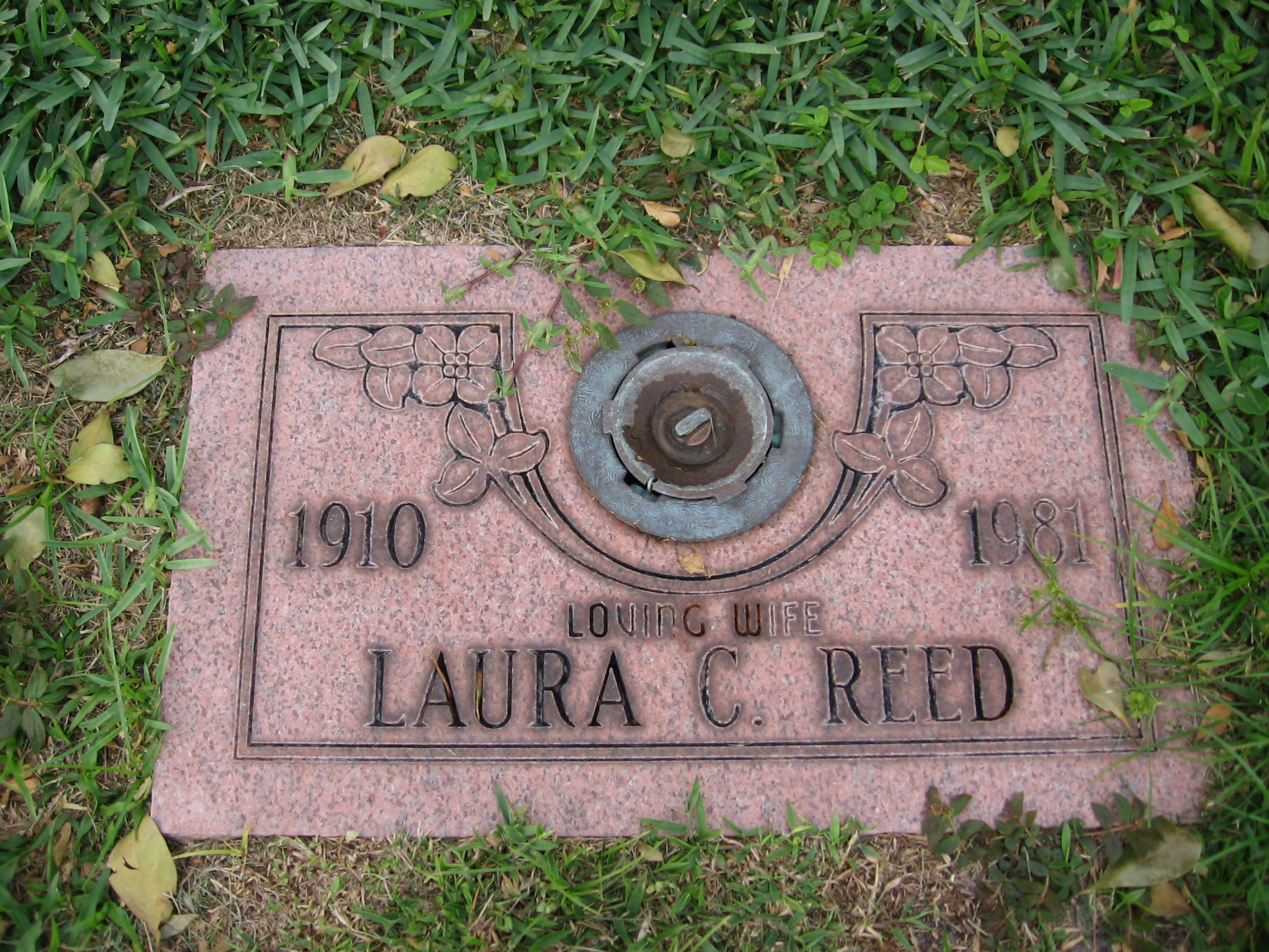 Laura C Reed