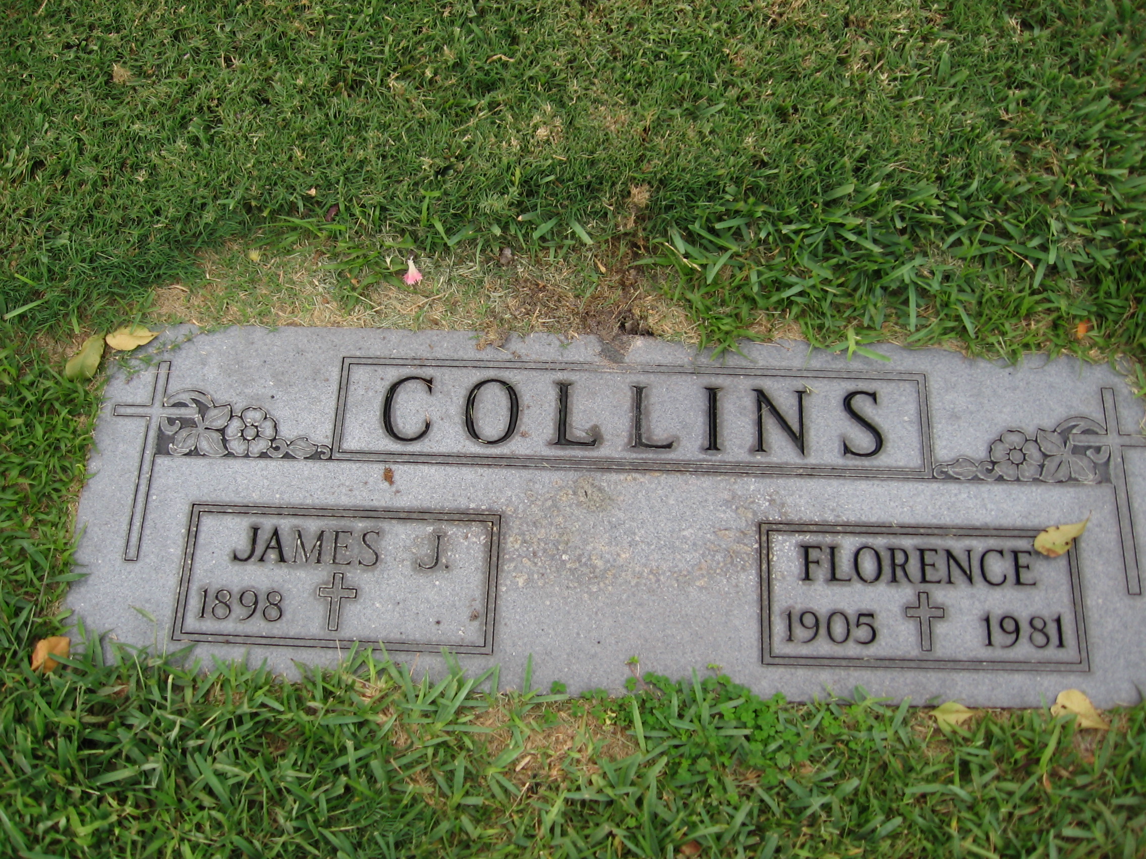 James J Collins