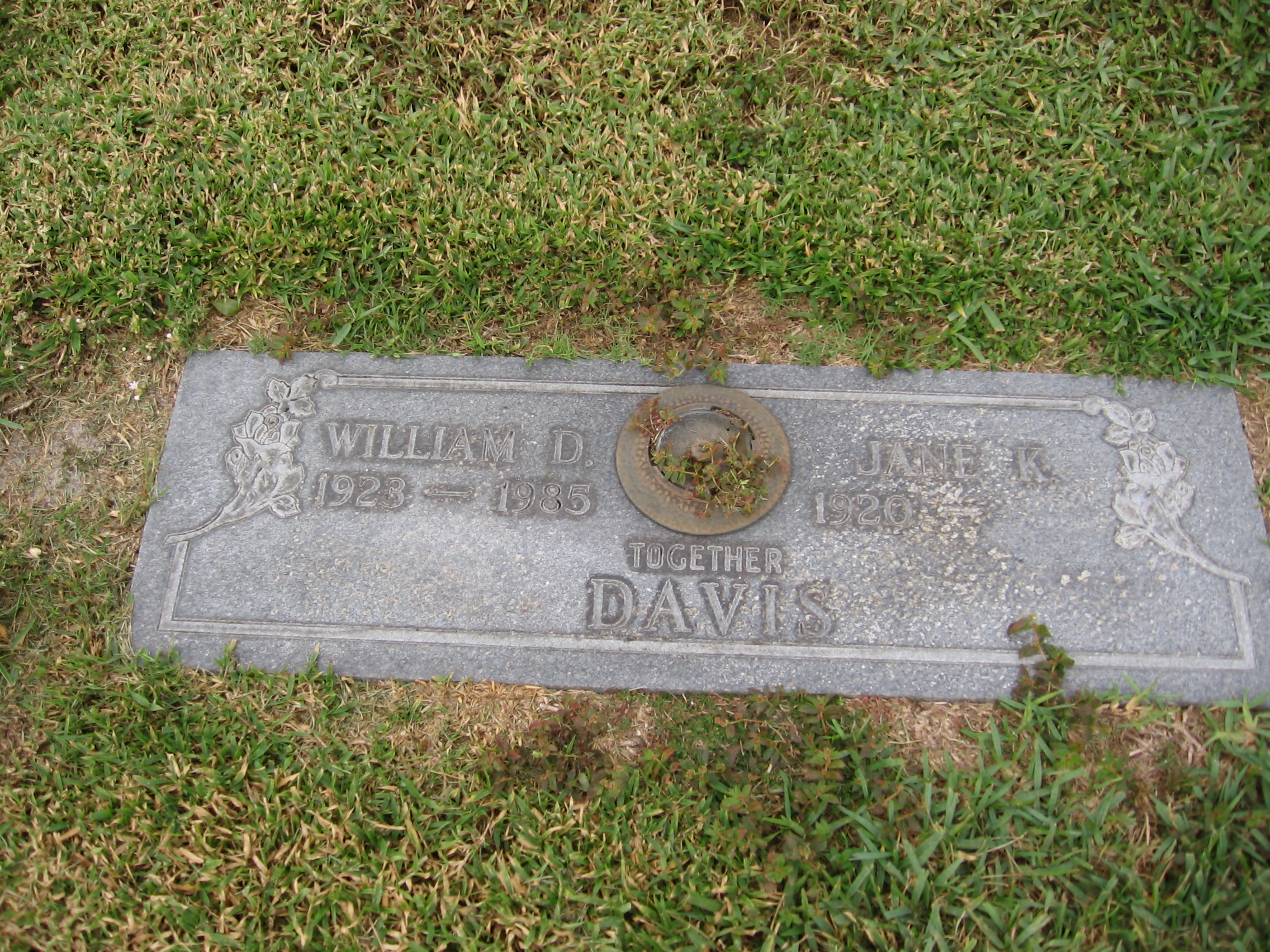 William D Davis