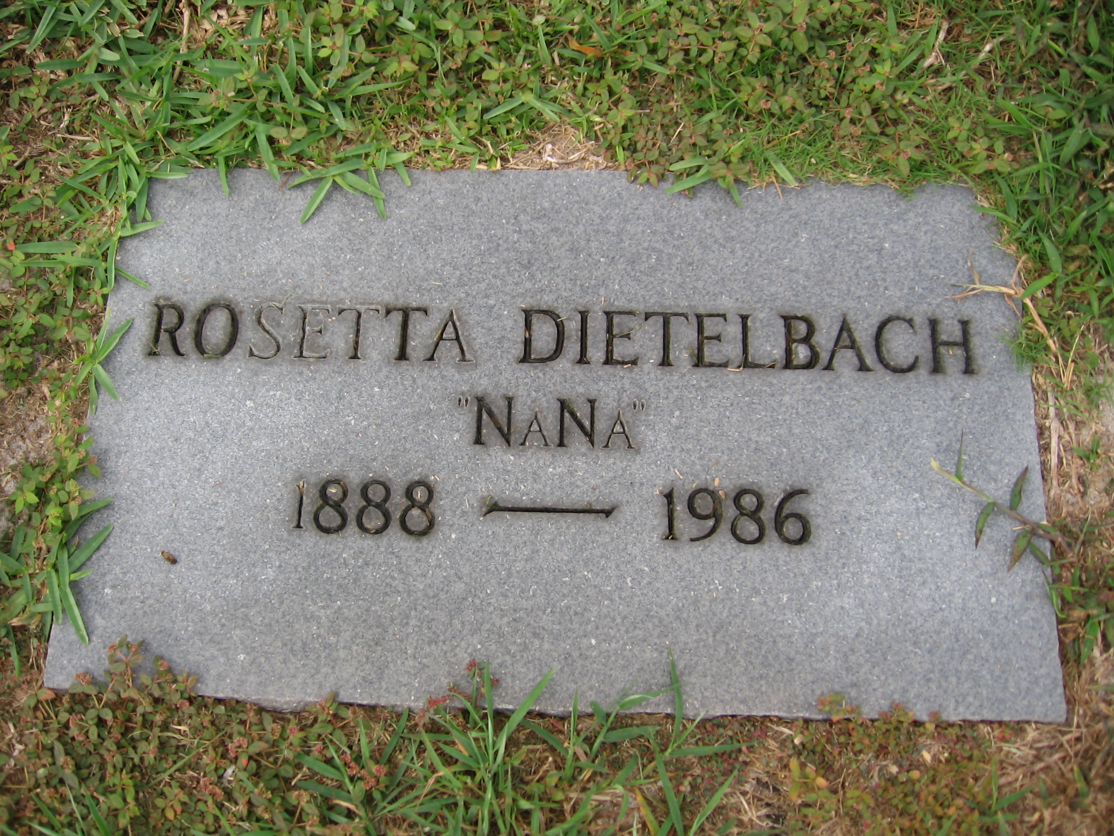 Rosetta Dietelbach