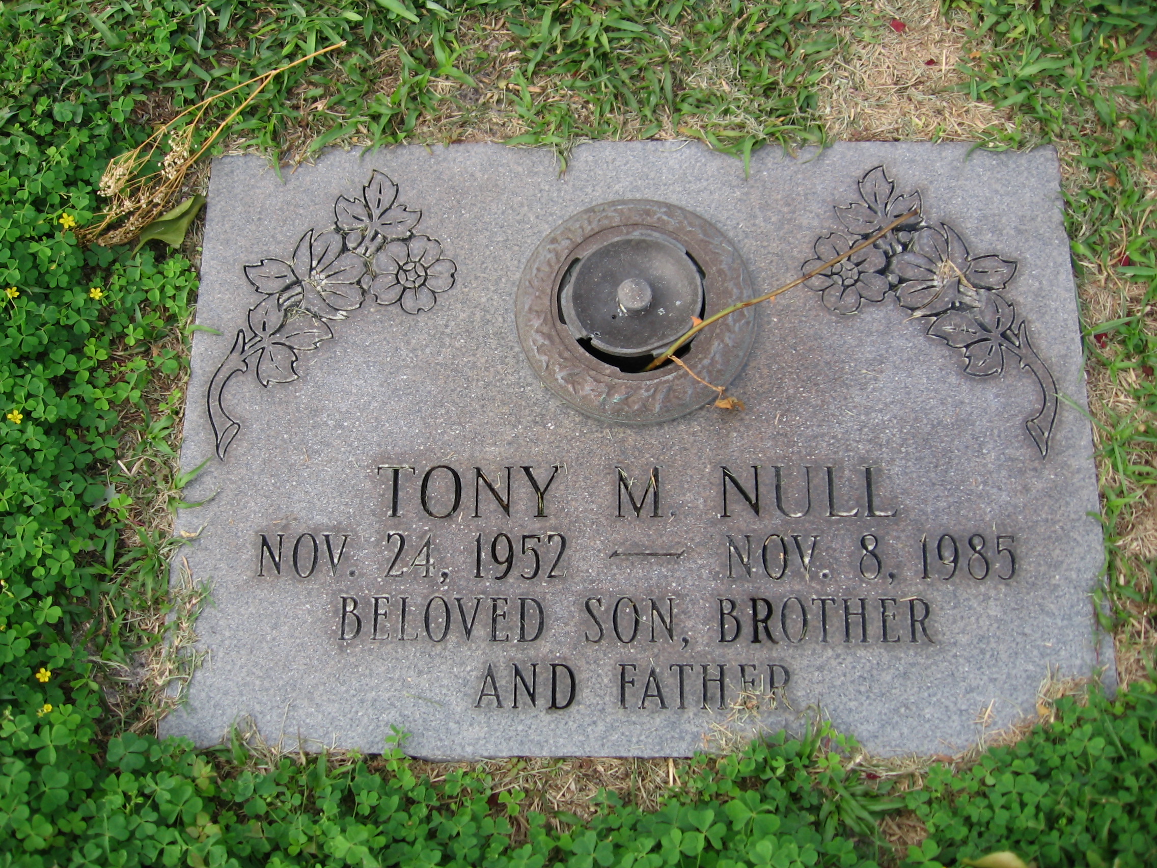 Tony M Null