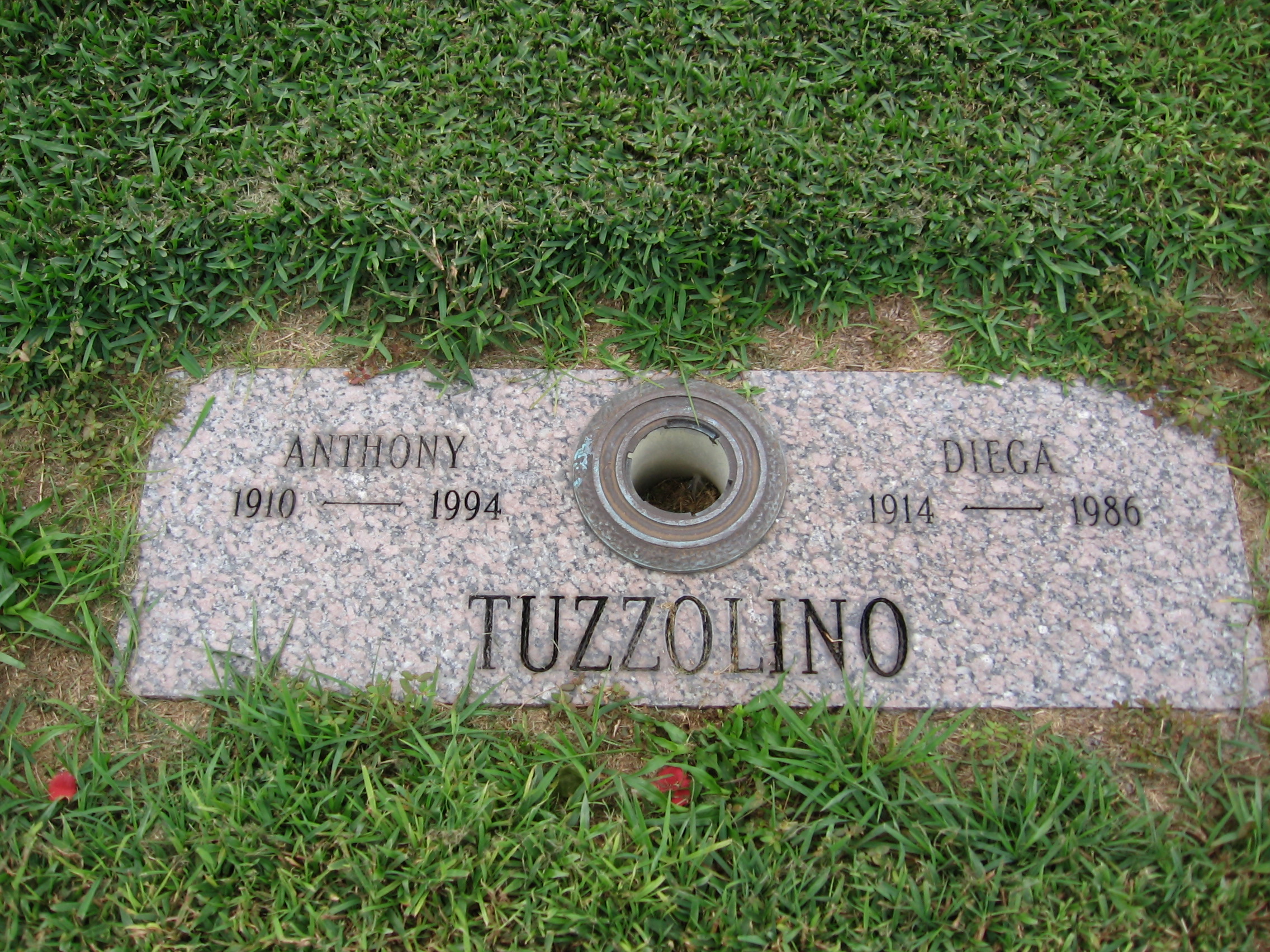 Anthony Tuzzolino