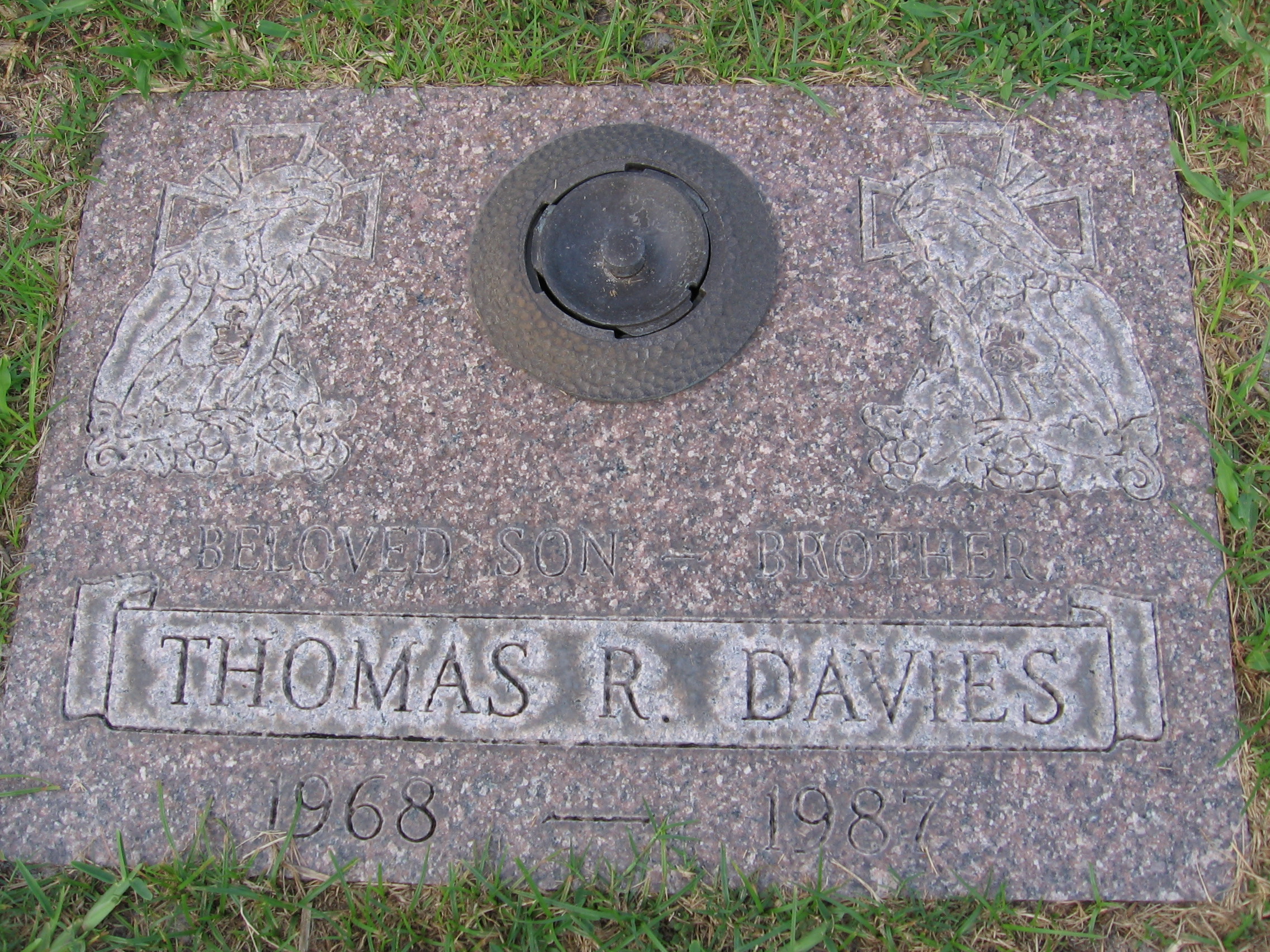 Thomas R Davies