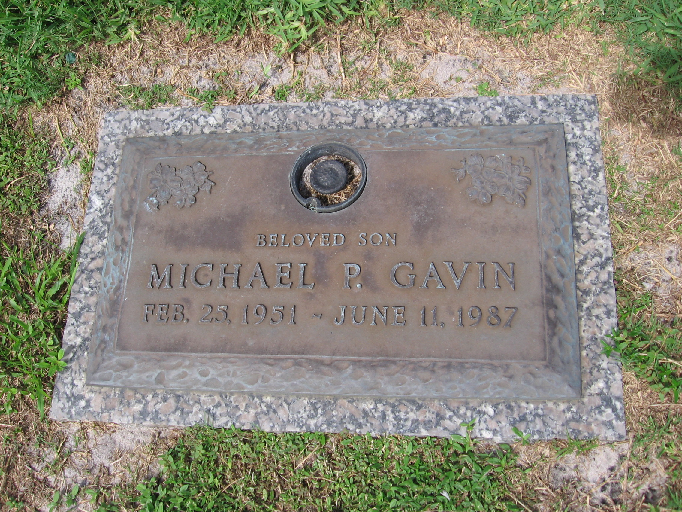 Michael P Gavin