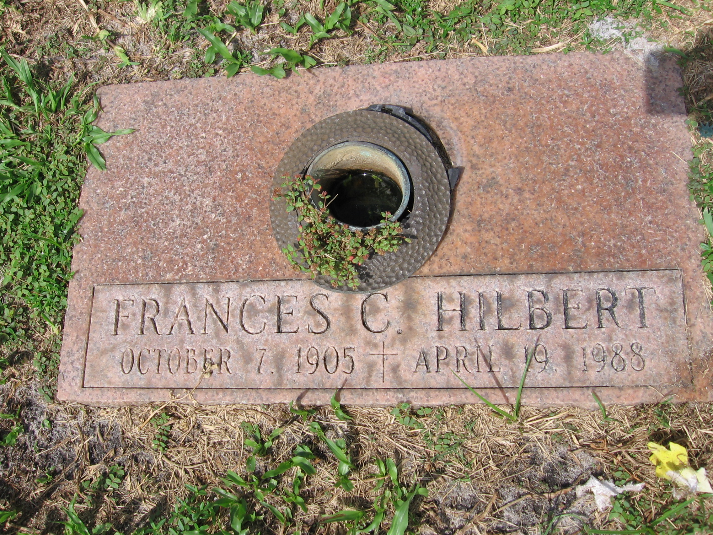 Frances C Hilbert