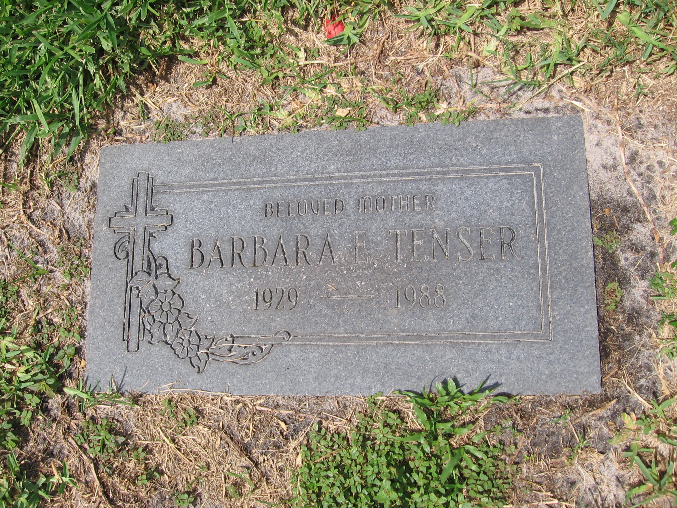 Barbara E Tenser