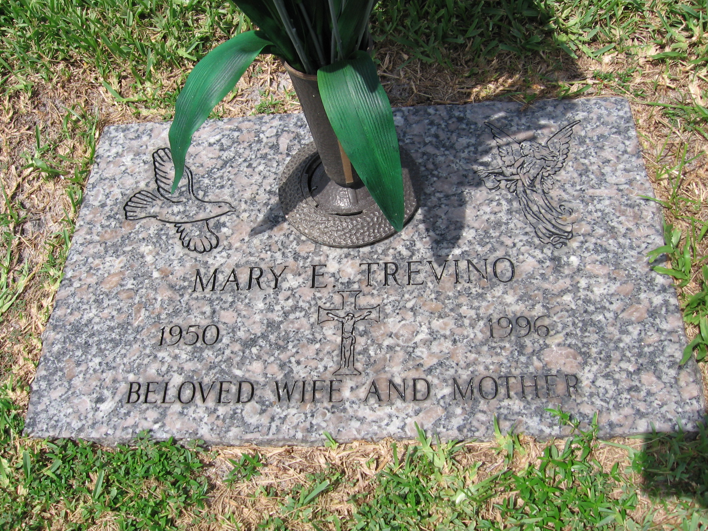 Mary E Trevino