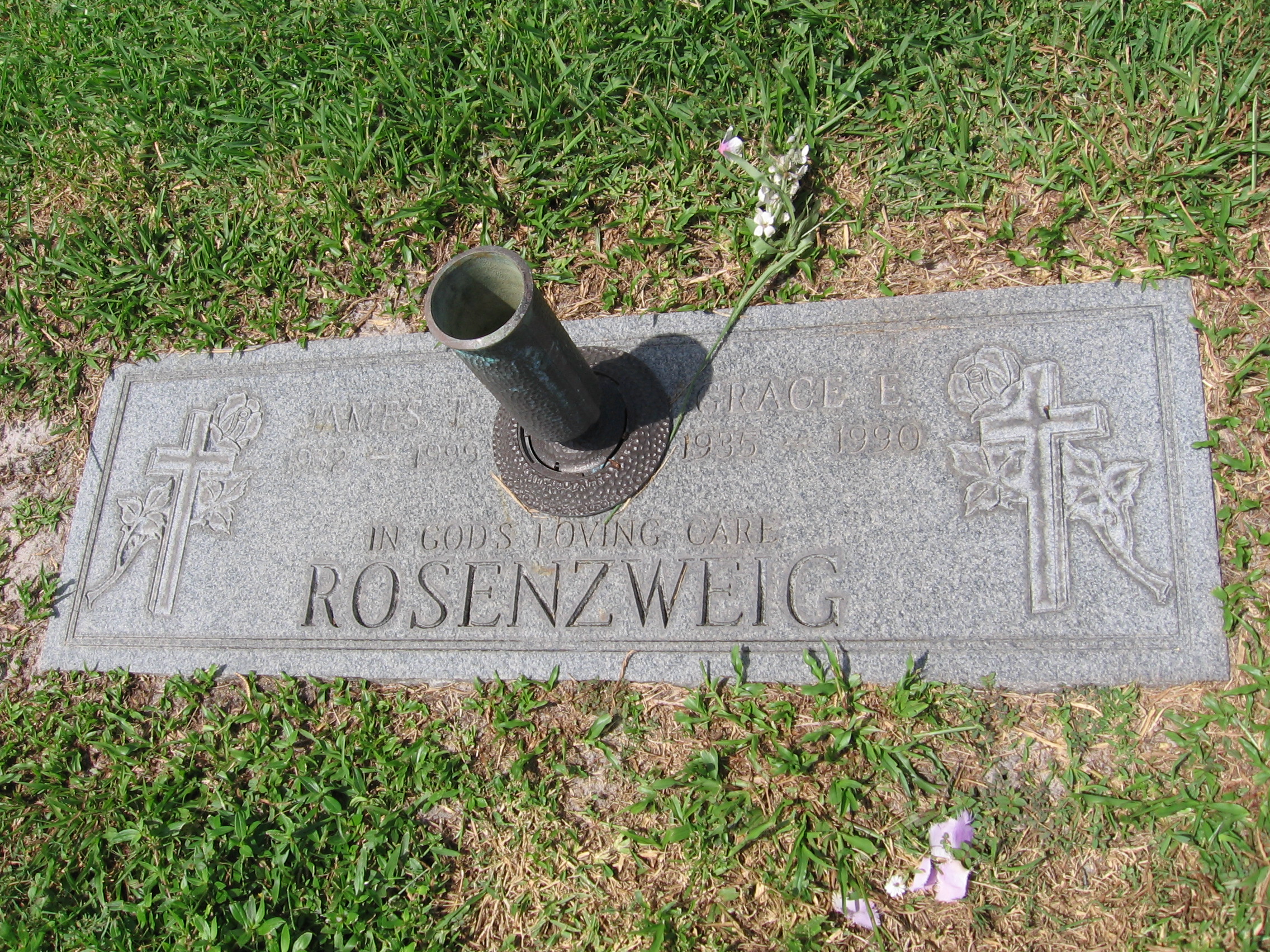 Grace E Rosenzweig