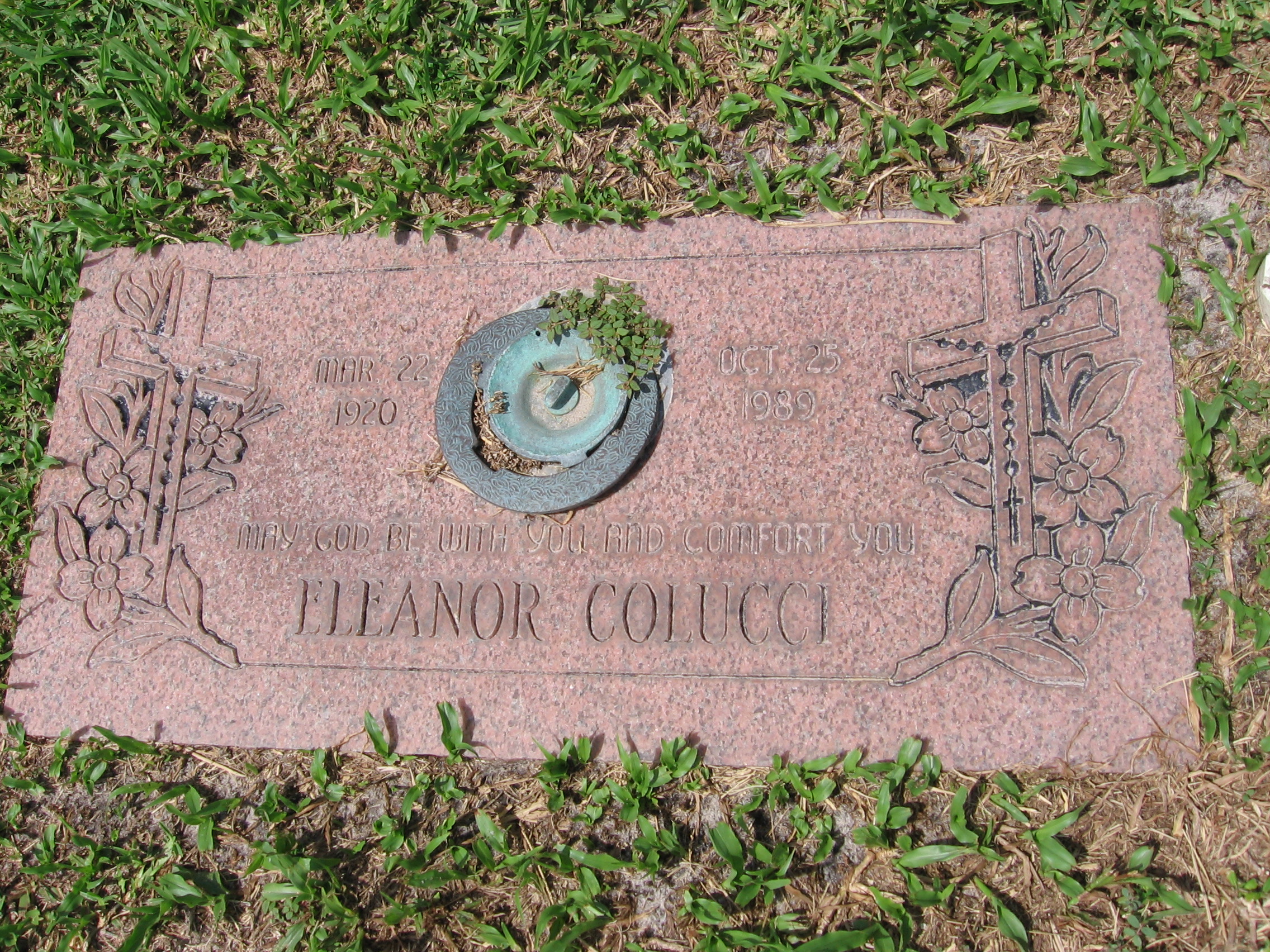 Eleanor Colucci