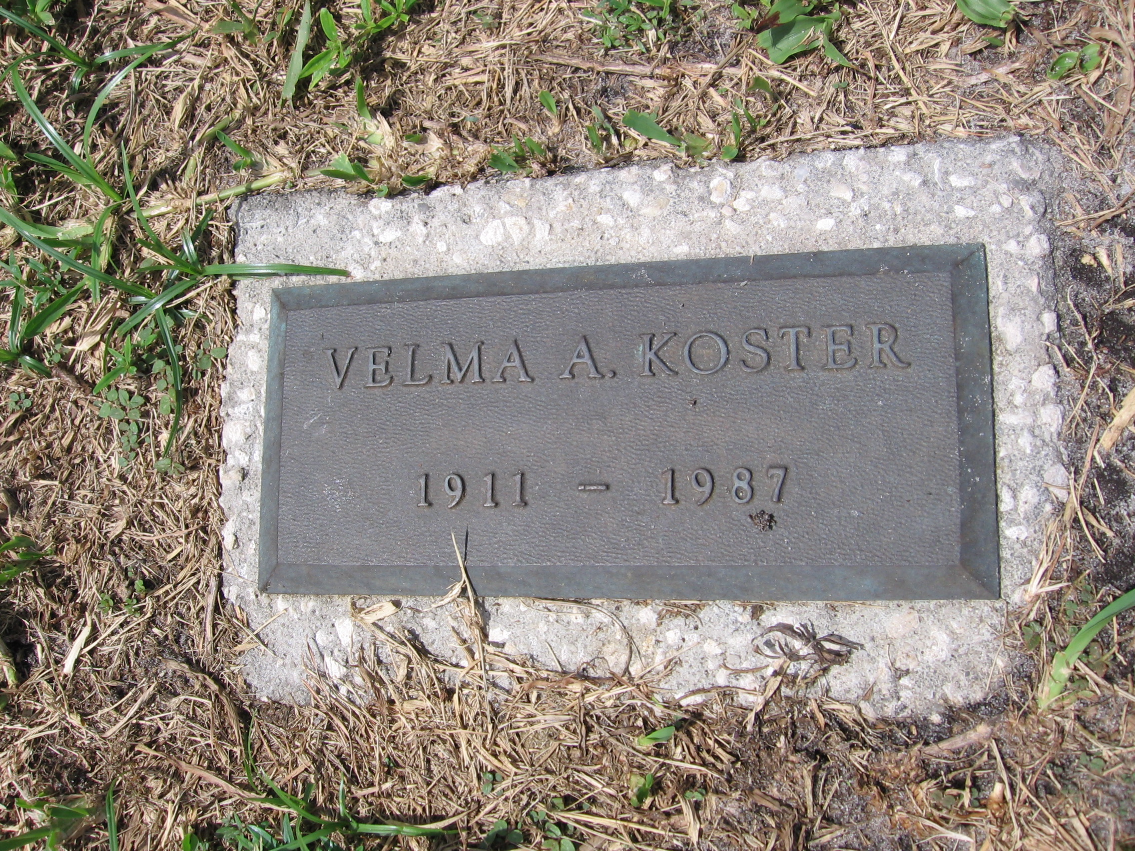 Velma A Koster