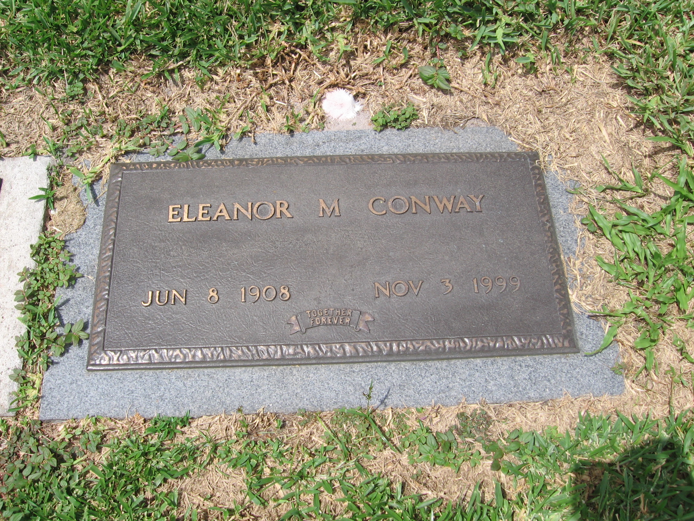 Eleanor M Conway