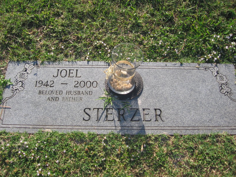 Joel Sterzer
