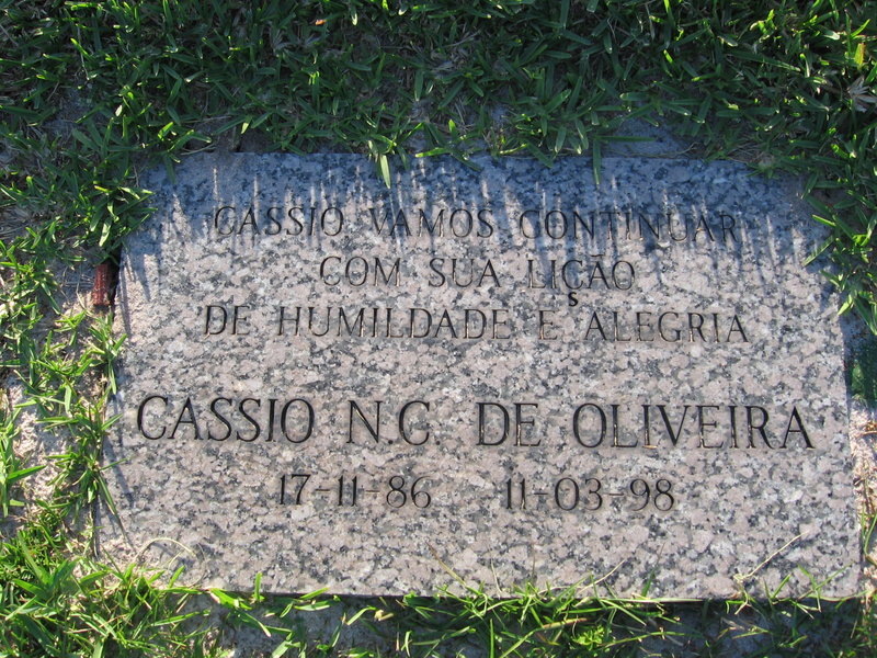Cassio N C De Oliveira