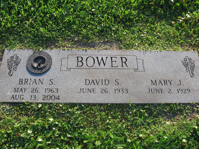 David S Bower