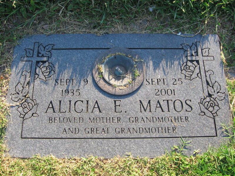 Alicia E Matos