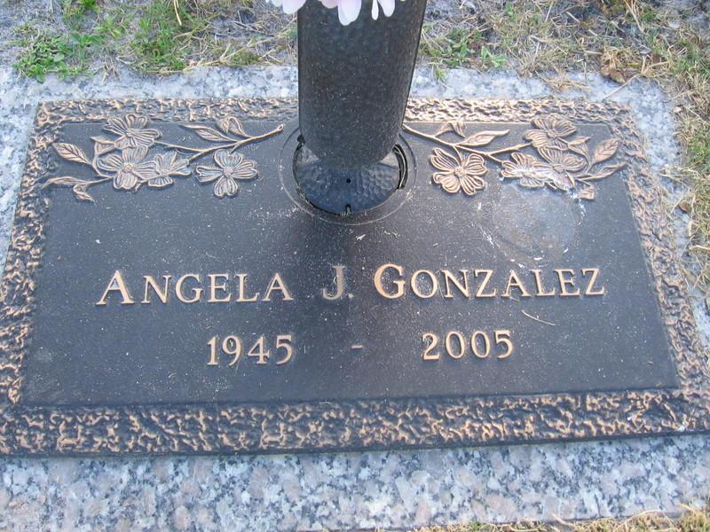 Angela J Gonzalez