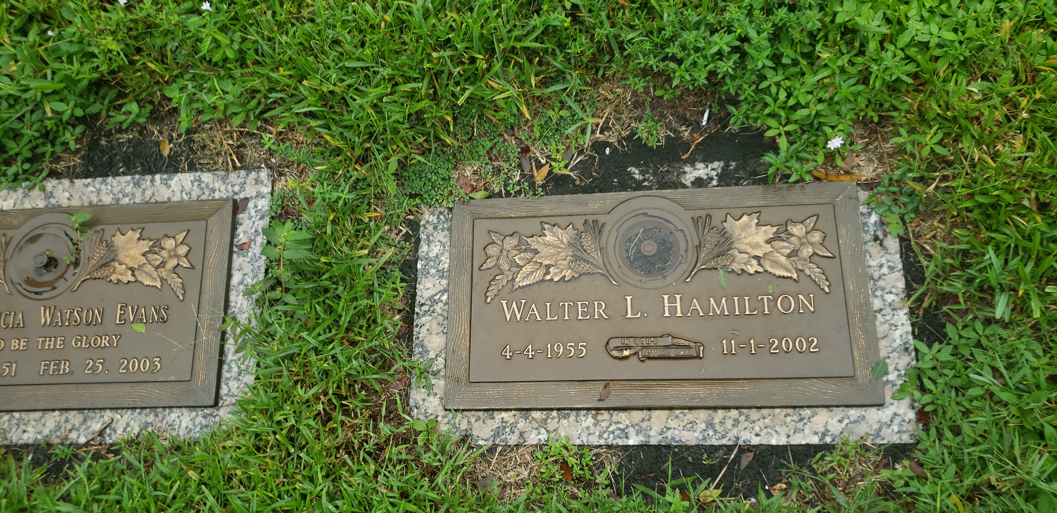 Walter L Hamilton