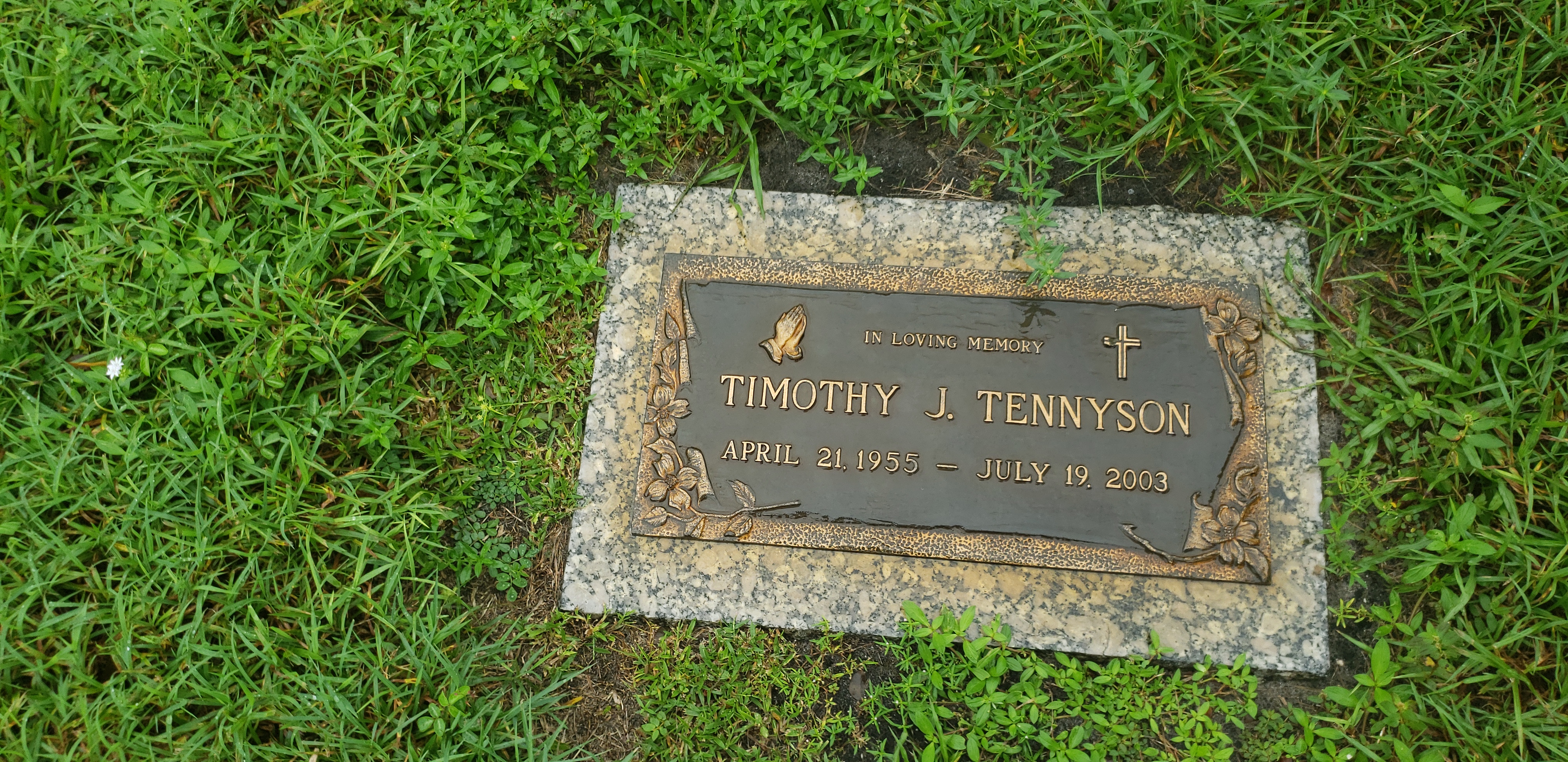 Timothy J Tennyson