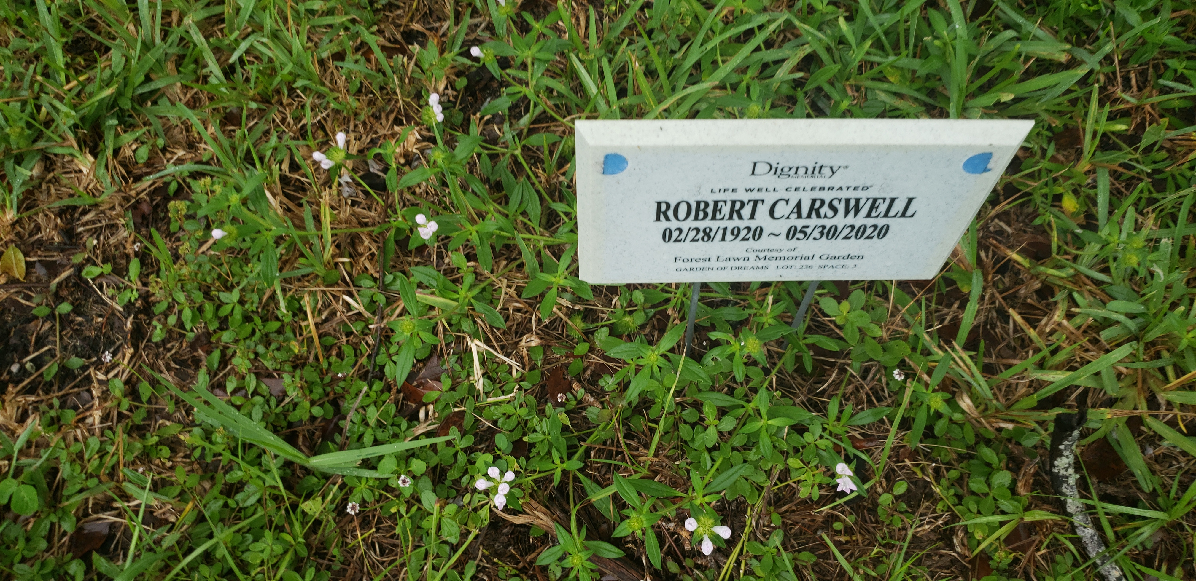 Robert Carswell