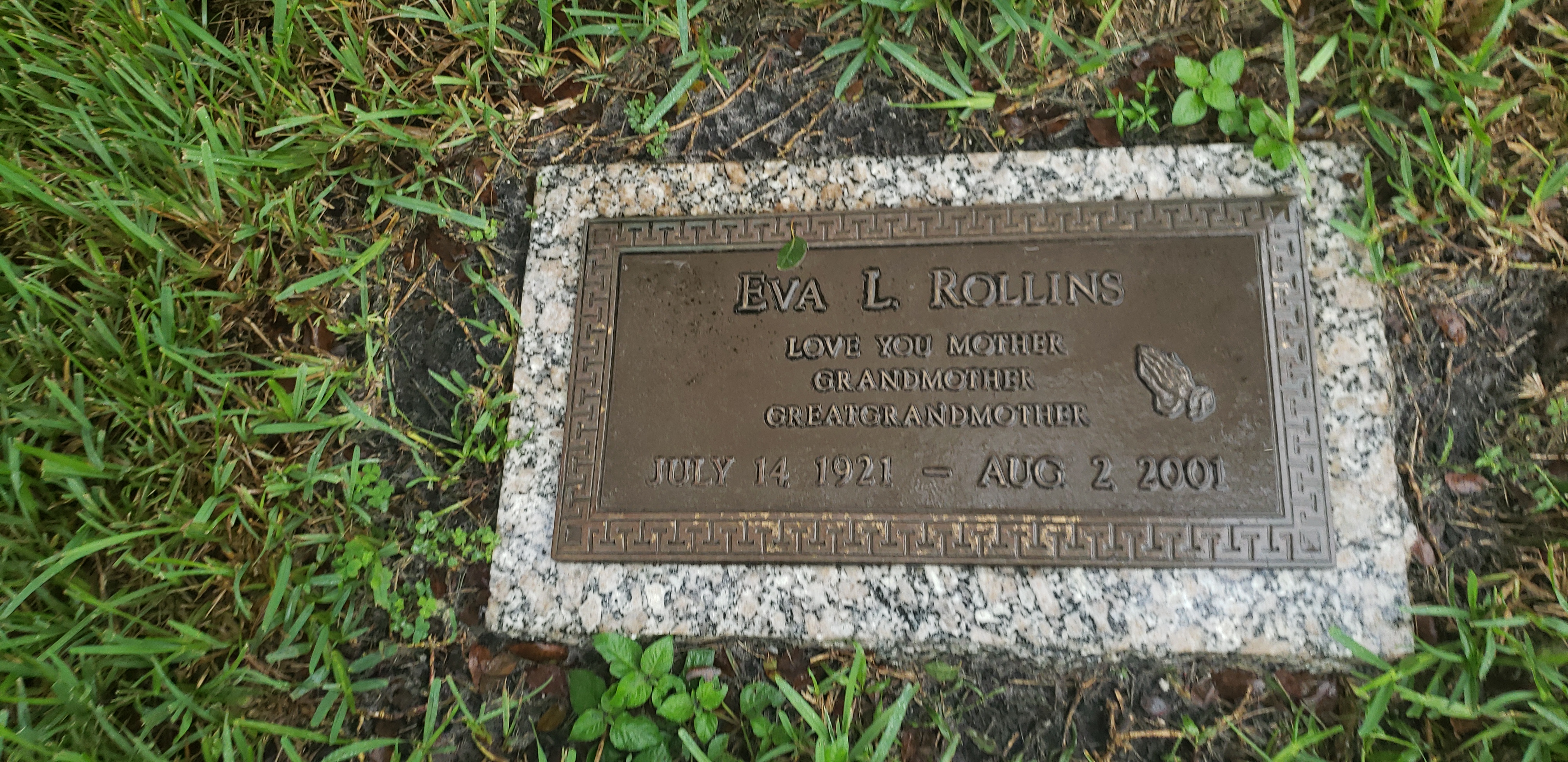 Eva L Rollins
